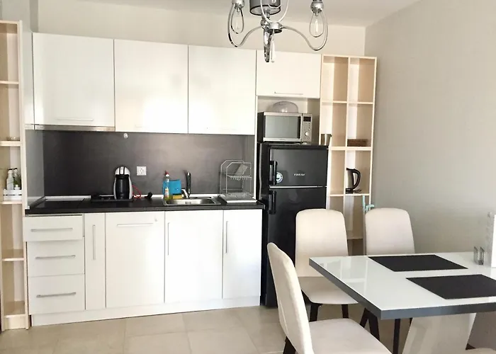 Paradise Deluxe 아파트 프리모르스코